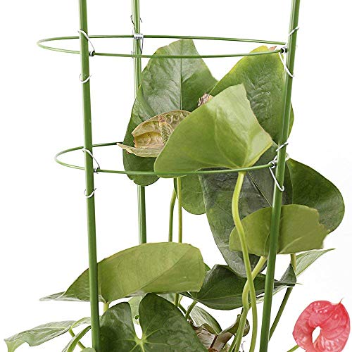 Alapaste Plant Support Ring Garden Trellis Plant Support Cage with 3 Adjustable Rings for Potted Climbing Plants Vegtables Flowers - Thumbnail 4