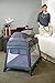 Graco Pack N' Play Playard Jetsetter, Fern