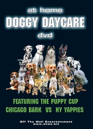 home from home doggy daycare