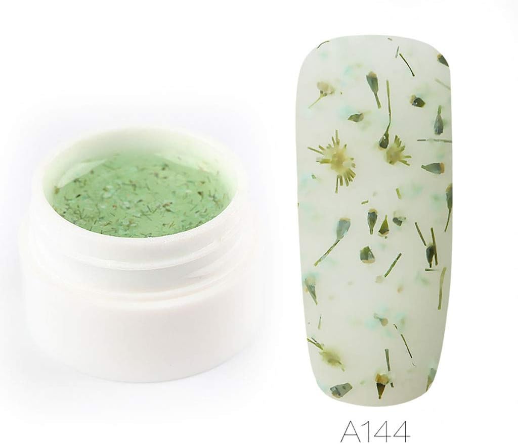 Wffo Dried Flower Fairy Nail Gel Polish Floral Uv Varnish Lucky Paint Dried New (D)