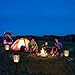 Solar Flame Lights Solar Lights Outdoor Garden Lights - 96 LED Flickering Flame Solar Torch Lights Dusk to Dawn Auto On/Off - IP65 Waterproof Outdoor Lights Solar Powered Landscape Lighting, 2 Pack