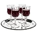 Prexware Set of 8 Unbreakable Wine Glasses, Acrylic Wine Glasses, Cryslal Like Wine Glasses. And 1 Wine Bottle Stopper Pourer