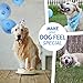 Cloudy Come CoN Dog Birthday Boy Bandana with Paw Print Party Cone Hat and 10 Balloons - Great Dog Birthday Outfit and Decoration Set - Perfect Dog or Puppy Birthday Gift