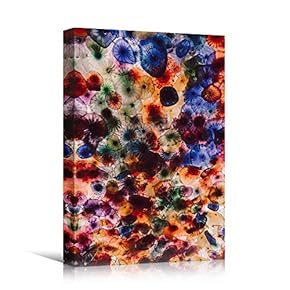 signwin Canvas Wall Art Organic Arrangement Abstract Colorful...