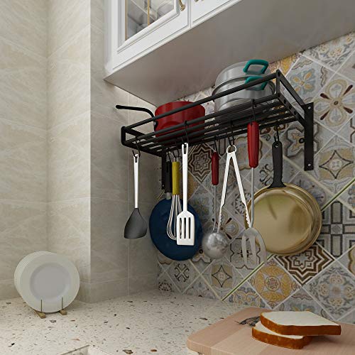 ZESPROKA Kitchen Wall Pot Pan Rack,With 10 Hooks,Black