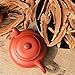 Dried Red Reishi Mushroom Slices Raw from Ta-pieh Mountains Ganoderma lucidum Loose Slices for Reishi Mushroom Tea 灵芝 (영지버섯) 8.8oz
