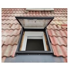 Roof Window And Skylight Basement Daylighting Door