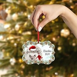 Salt and Pepper Hedgehog Christmas Ornament 2024