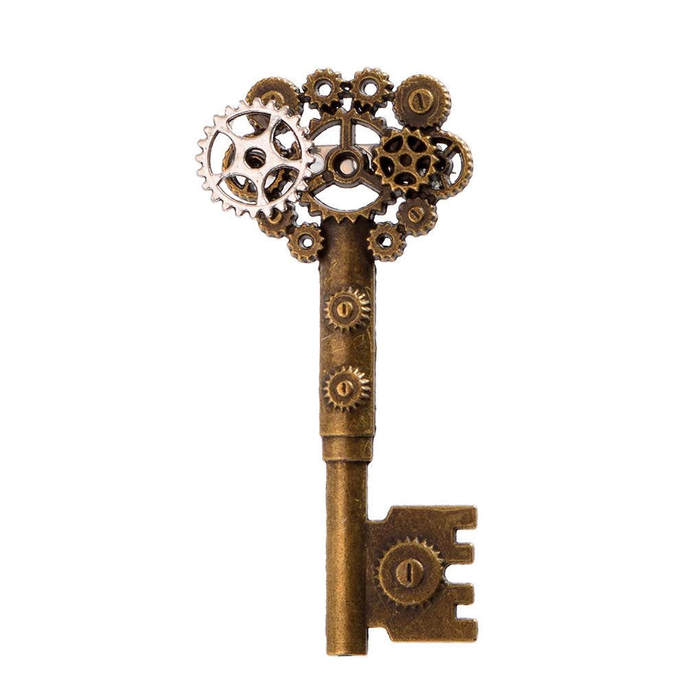 BLESSUME Vintage Steampunk Victorian Brooch (J)