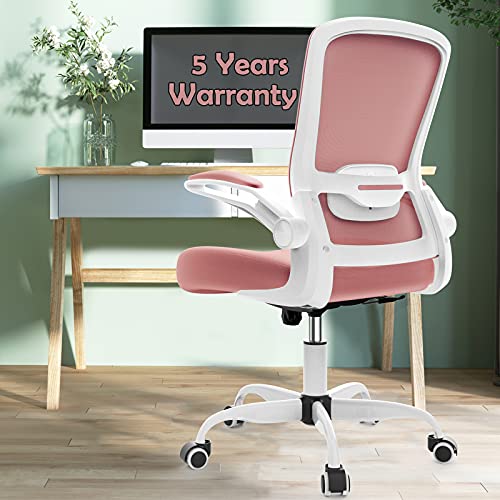 Office Chair, Ergonomic Desk Chair with Adjustable Lumbar Support, High Back Mesh Computer Chair with Flip-up Armrests-BIFMA Passed Task Chairs, Executive Chair for Home Office