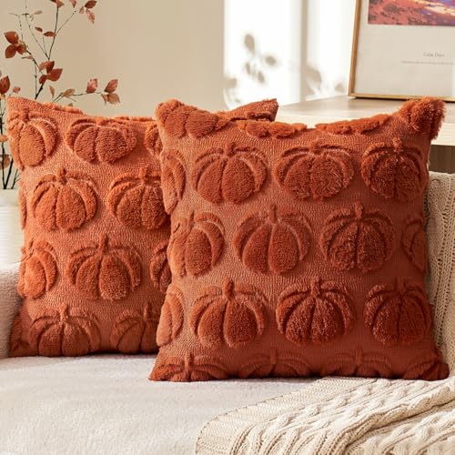MIULEE Pumpkin Fall Decor Pillow Cover 22x22