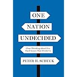 One Nation Undecided: Clear Thinking about Five Hard Issues That Divide Us