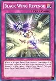 Yu-Gi-Oh! - Black Wing Revenge (DRLG-EN031) - Dragons of Legend - 1st Edition - Super Rare