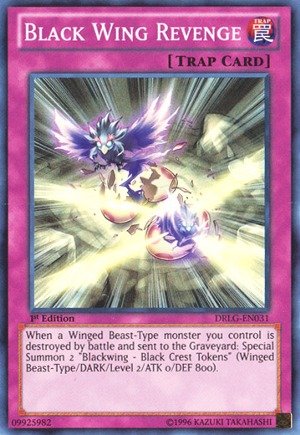 Yu-Gi-Oh! - Black Wing Revenge (DRLG-EN031) - Dragons of Legend - 1st Edition - Super Rare