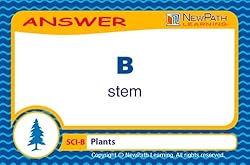 NewPath Learning Mastering Science Skills Grade 2