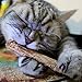 Fheaven 2PCS Pet Cat Kitten Chew Stick Toy Catnip Molar