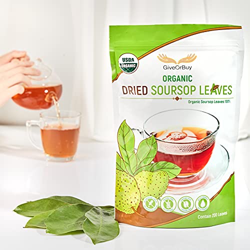 Soursop Leaves Tea Bags - 100% Natural Graviola Herbal Tea For Digestion, Sleep & Immunity (50 Count)