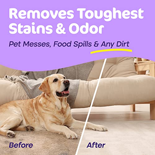 Carpet Miracle Carpet Cleaner Solution Shampoo for Machine Use, Deep