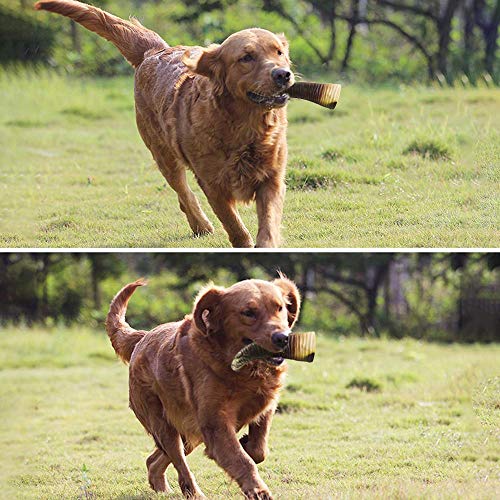 COPACHI Dog Chew Toys for Aggressive Chewers, Durable Dog Teething Chew Toys, Non-Toxic, Nearly Indestructible, Goat Horn Shape, for Large/Medium Breed Dogs, Beef Flavor