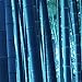Trenton 50Pcs Rare Blue Bamboo Seeds Beautiful Home Garden Decorative Tree Herb Plant