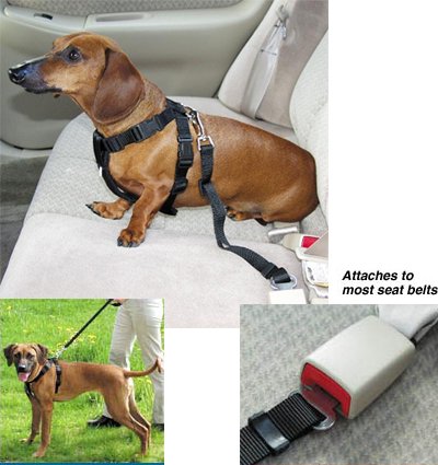 Guardian Safety Harness Xsm 7-16 In Girth Black