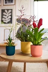 elho Vibes Fold Round 14 Pink Plant Pot 100% Recycled Plastic Ø14.1xH12.9 cm view 8