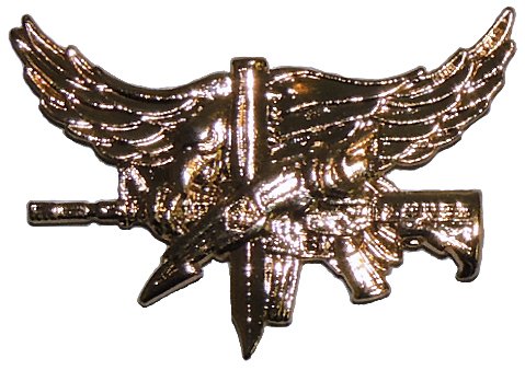 SWAT Operator Pin - Polished Gold
