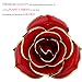 ABEDOE Long Stem 24k Gold Rose Flower in Box, Best Romantic Gift for Anniversary, Thanks Giving Day, Valentine’s Day, Mother's Day, Birthday Gift (Red)