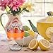 Lemon Squeezer Hand Juicer - Bariho Citrus Orange Squeezer Manual Lid Rotation Press Reamer for Lemon Lime with Strainer and Container