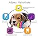 CCQIN Squeaky Dog Toy Pack for Puppy,Small and Medium Dog Toys Set 7 Pack Cute Pet Toys with Squeakers,Puppy Teething Dog Chew Toys(Rabbit,Carrot,Bone)