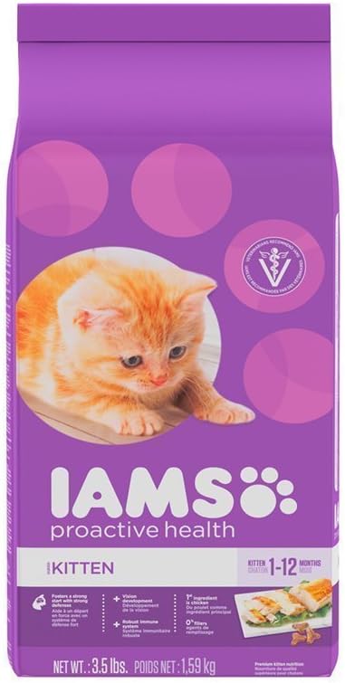 best kitten iams proactive health dry kitten food