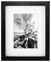 MCS Art Frame with Mat Opening, Black, 8 x 10 in