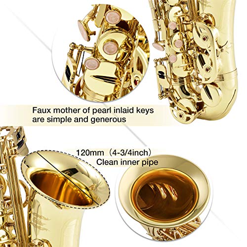 4 Eastar+Student+Saxophone+Carrying+Mouthpiece