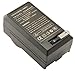 STK Canon LP-E10 Charger for Canon Eos Rebel T6, T5, 1300D, T3, EOS 1200D, 1100D, Kiss X70, and X50 Digital Cameras
