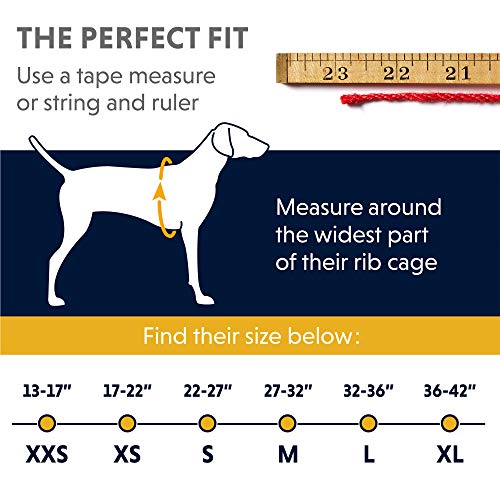 RUFFWEAR, Powder Hound Insulated, Water Resistant Cold Weather Jacket