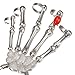Silver Cool Punk Rock Skeleton Skull Hand Bone Ring Bracelet