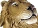 African Lion Head Mount Wall Statue Mini Bust Leo 9.5 in.