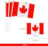 BigTree 50 Mini Canadian Flags on Sticks for Party & Events view 2