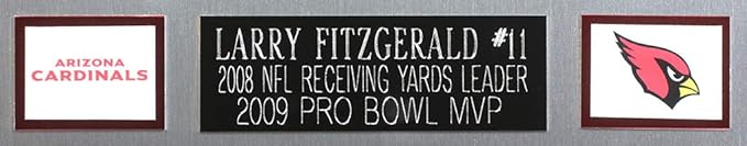 larry fitzgerald framed jersey