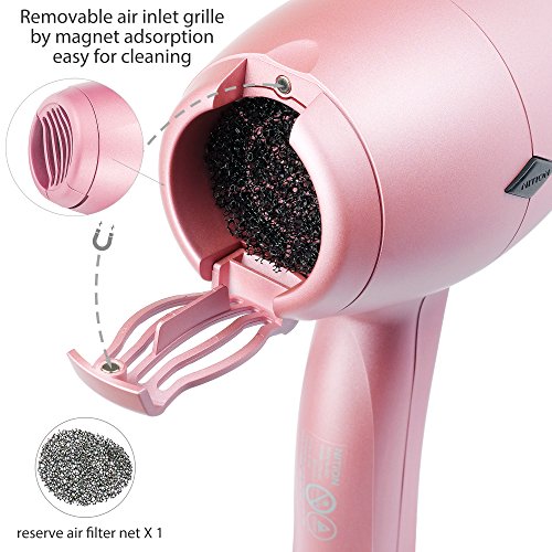 NITION Negative Ions Ceramic Hair Dryer with Diffuser Attachment,Ionic