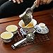 Aieve Tea Bag Squeezer, 2 Pack Stainless Steel Tea Bag Holder Tea Bag Tongs Tea Bag Spoon Tea Bags Strainer Clip for Gripping Ice Cubes