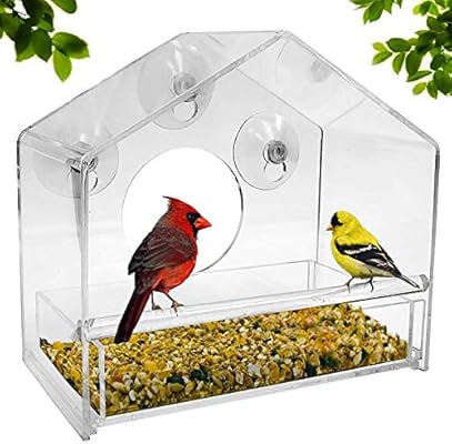 Bird Feeder See Through Clear Acrylic Design Provides A Unique In
