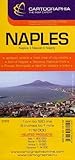 Naples Map by 