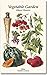 Vegetable Garden. Album Vilmorin 2014 by 