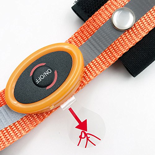 MOYLOR Illuminate LED Protective Gear Head Collar for Horse Browband Horse Bridle Safety Light Horses Equipment - Horsing Accessory (1pcs of Orange) - Thumbnail 2