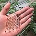 60Pcs Spiral Hair Pin Messen Bobby Hair Pins Spin Pins Non-Scratch Round Tips Twist Screw Hair Pin (Black/Silver/Gold/Rose Gold)