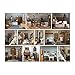 Galison Phat Dog 2-Sided Jigsaw Puzzle, Vintage Dollhouse, 500 Pieces - 24” x 18”, Double-Sided Puzzle with Vibrant Artwork, Perfect for Family Fun