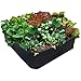 2 ft X 2 ft Victory 8 EZ-GRO Small Square Fabric Raised Bed Garden Green Gardening Raised Bed, AeroFlow Fabric NO Assembly