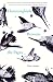 Hummingbirds Between the Pages (21st Century Essays) by Chris Arthur