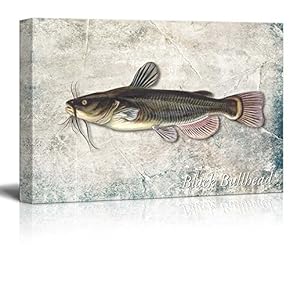 Brown Black Bullhead Fish Illustration on a Textured Background